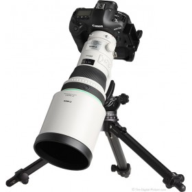Canon Lens EF 400mm f/4 DO IS II USM